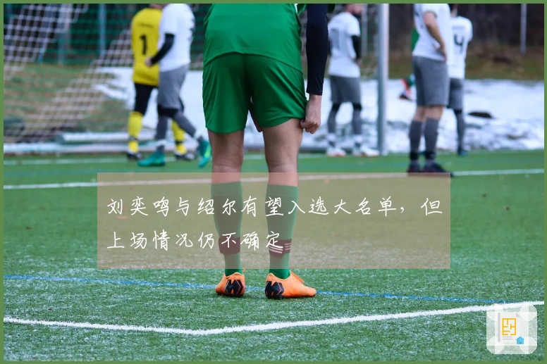 刘奕鸣与绍尔有望入选大名单，但上场情况仍不确定