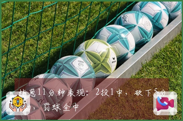 林葱11分钟表现：2投1中，砍下5分2助，罚球全中