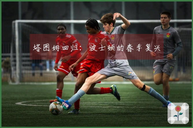 塔图姆回归：波士顿的春季复兴